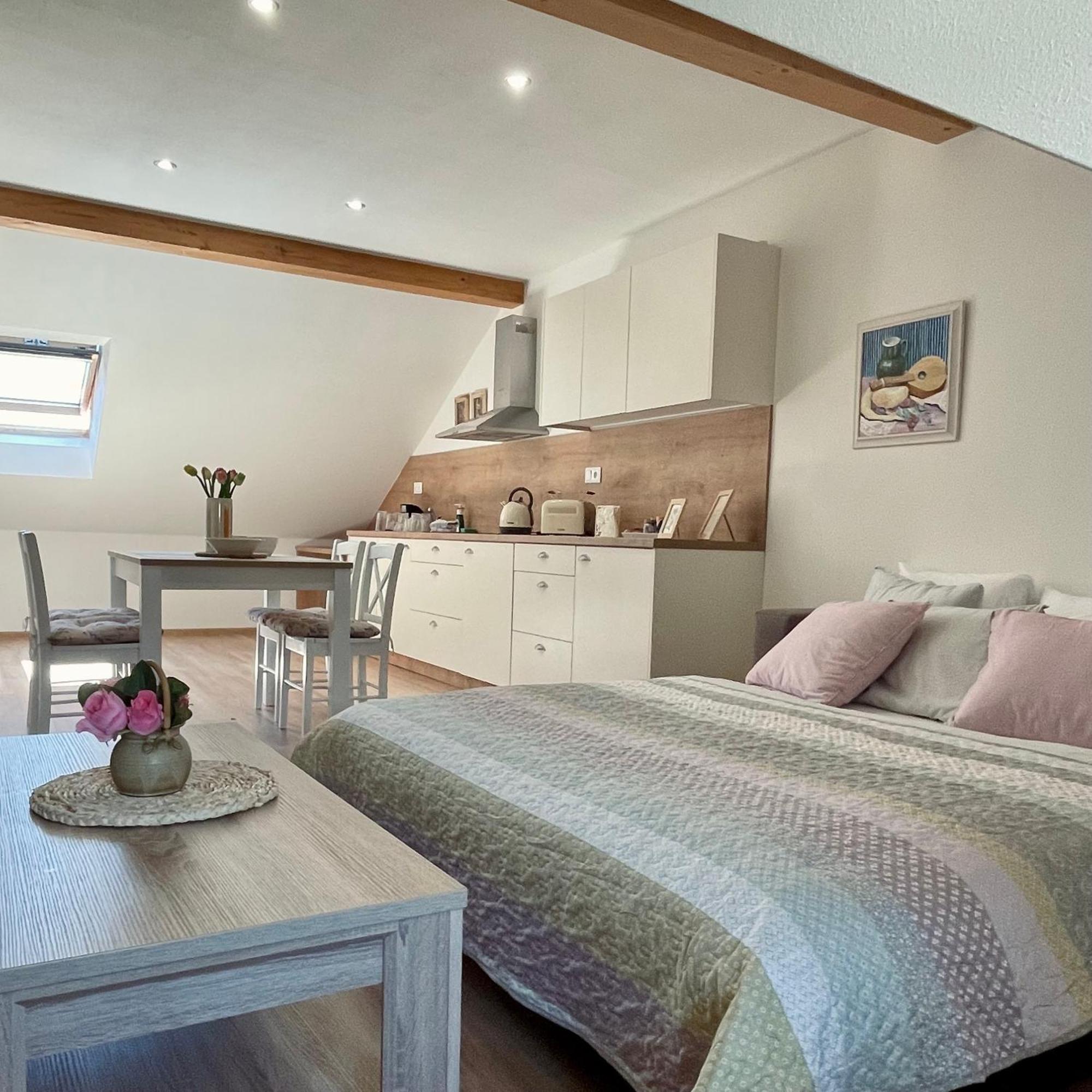 Apartmany Basta & Wellness Сушице Экстерьер фото