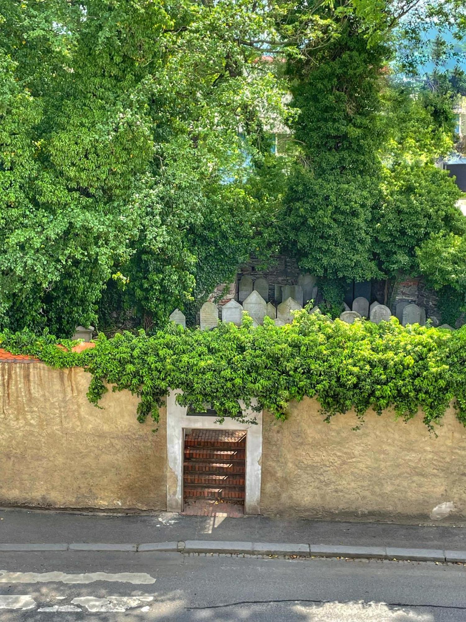Apartmany Basta & Wellness Сушице Экстерьер фото